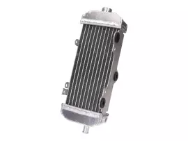 Radiator Handcrafted For Beeline, CPI SM 50, SX 50