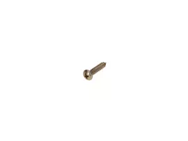 Fairing Screw OEM Crosshead Burnished 2.9x13mm