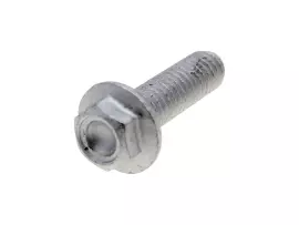 Screw W/ Flange OEM M6x20