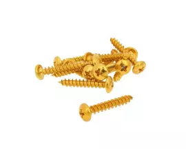 Fairing Screws Anodized Aluminum Gold - Set Of 12 Pcs - M5x30