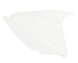 Turn Signal Lens Rear Right For Honda Dylan 125-150