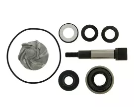 Water Pump Repair Kit For Honda SH300i