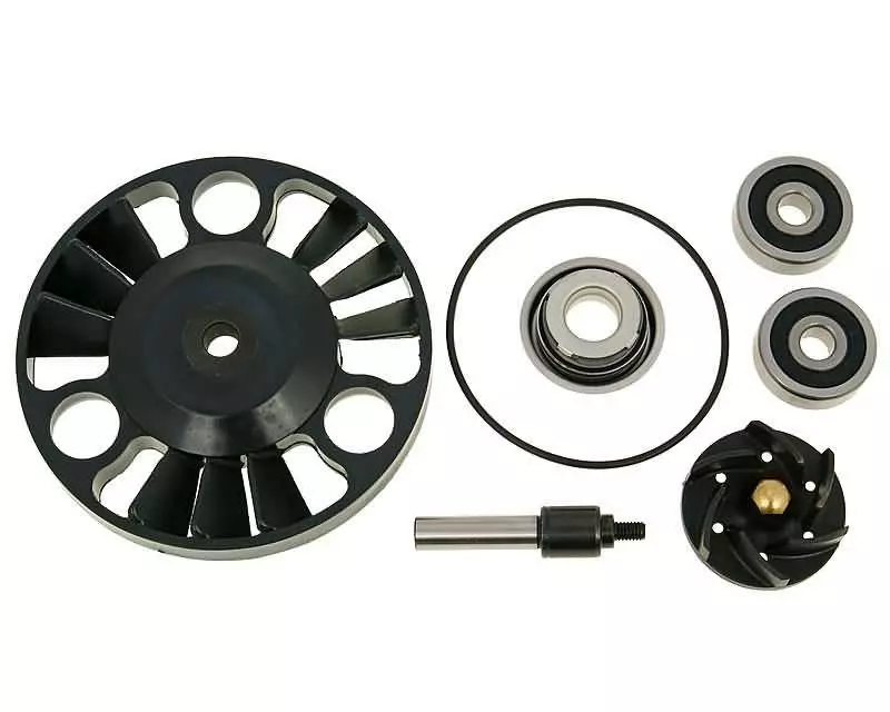 Water Pump Repair Kit For Piaggio Engine 125-200cc (two-piece Shaft)