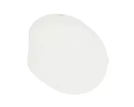 Turn Signal Lens Rear Right For Majesty, Skyliner (03-09)