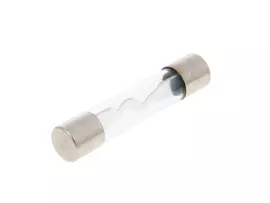 Micro Glass Fuse 30x6mm 20A